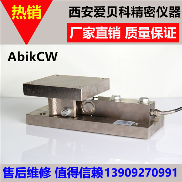 陕西称重模块-CW动载称重模块