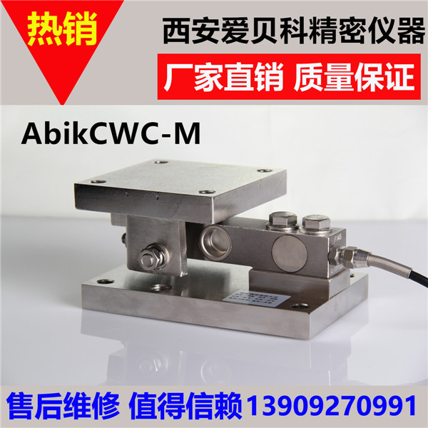 陕西称重模块-CWC-M动载称重模块
